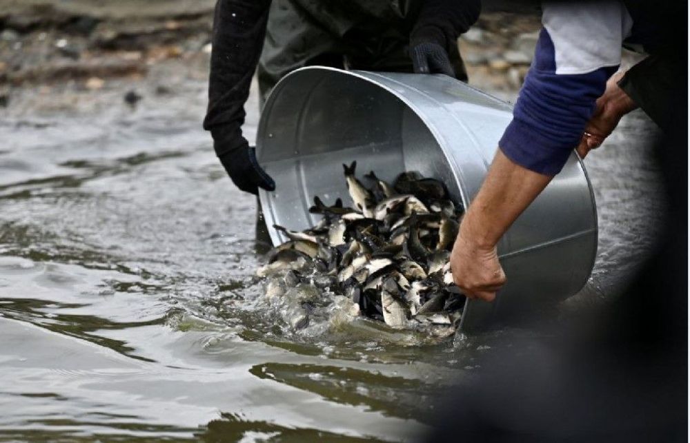 ���������� ������ ������������� 15 ����