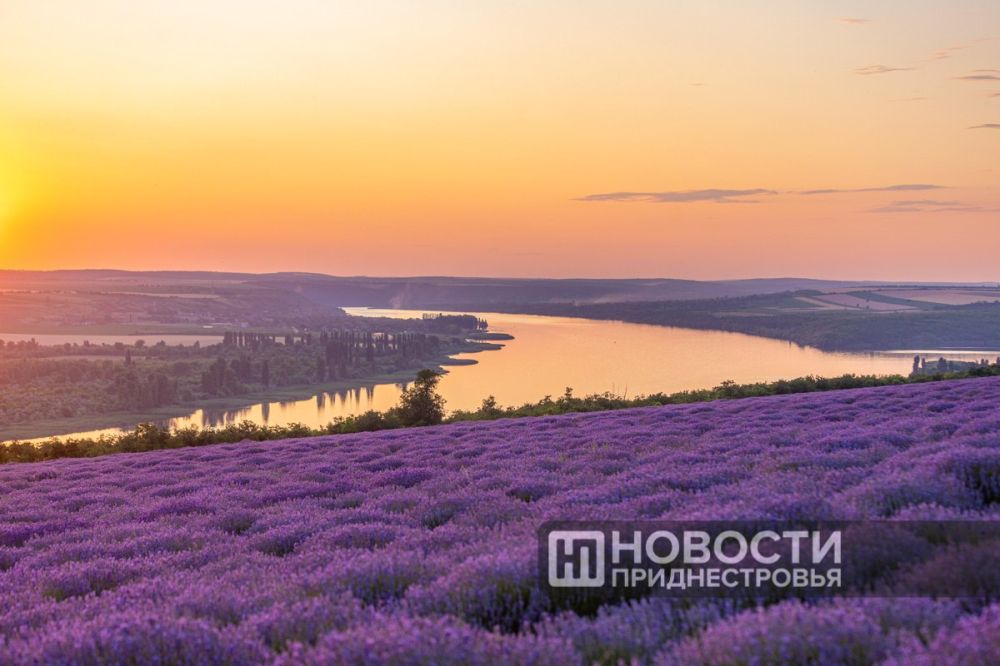 ��������� ������� ������ 22 � 23 ���� � ������