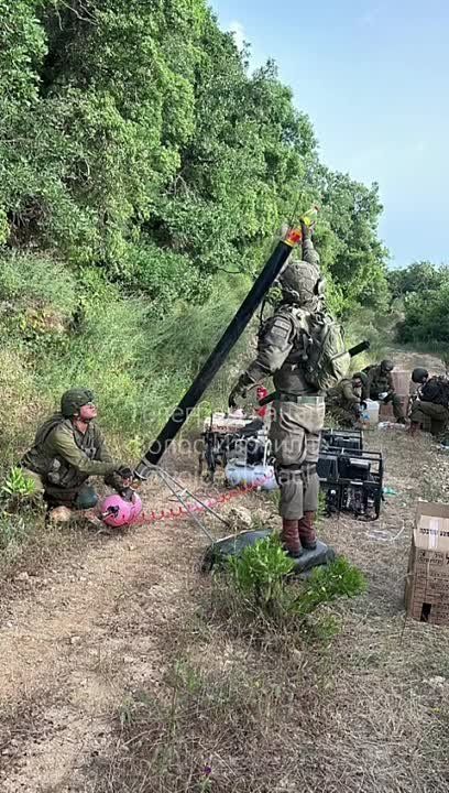 ������������� ����������� ����� ��������� ��������� �������� �� ����������� �� ���������� ������