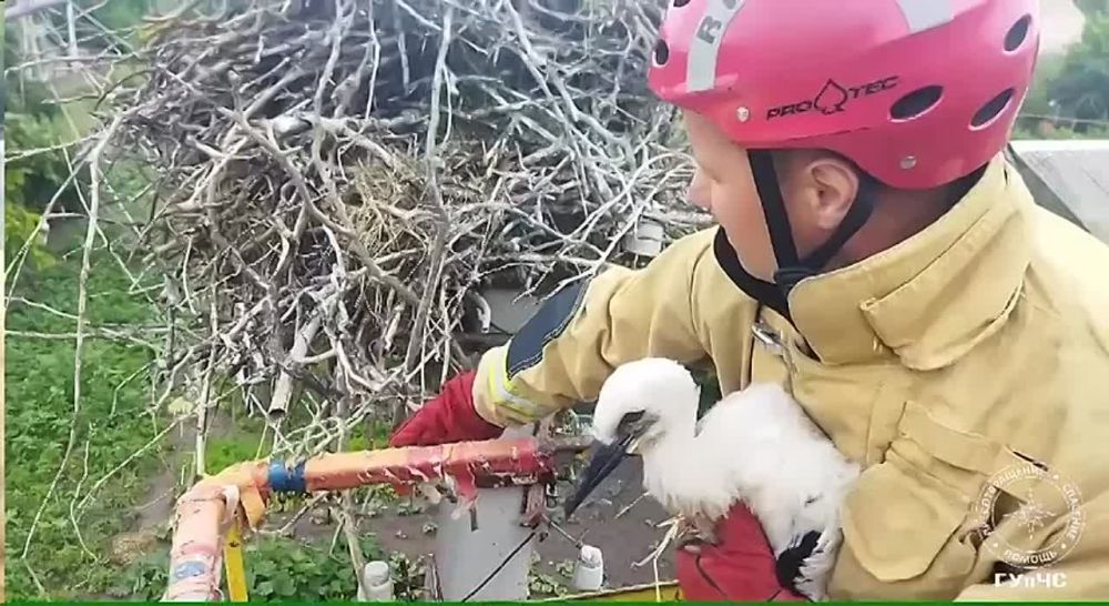 � ��������� ������ ������ ��������