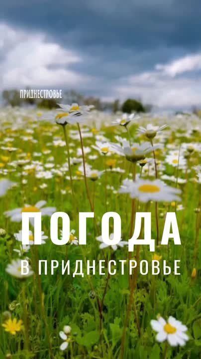 15 ���� ��������� ���������� ����������, ��� �������