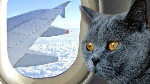 ��������� ������� ����� ������� ��� ������� � �������