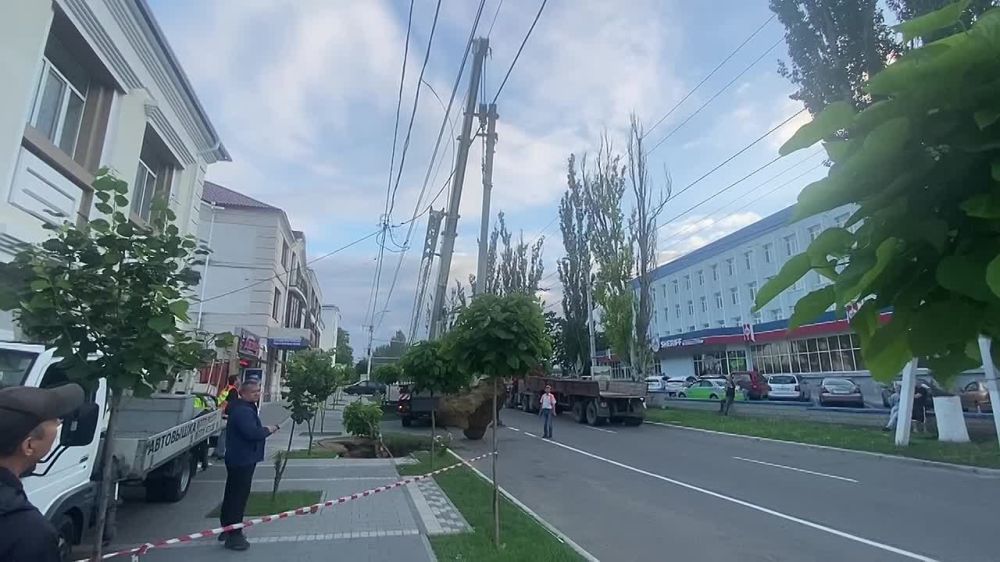 ���������. �������� �����