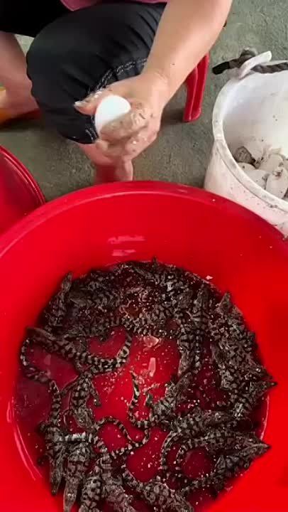 ������� ������: �������� ���������� �������� ����������� �� ���, �.�