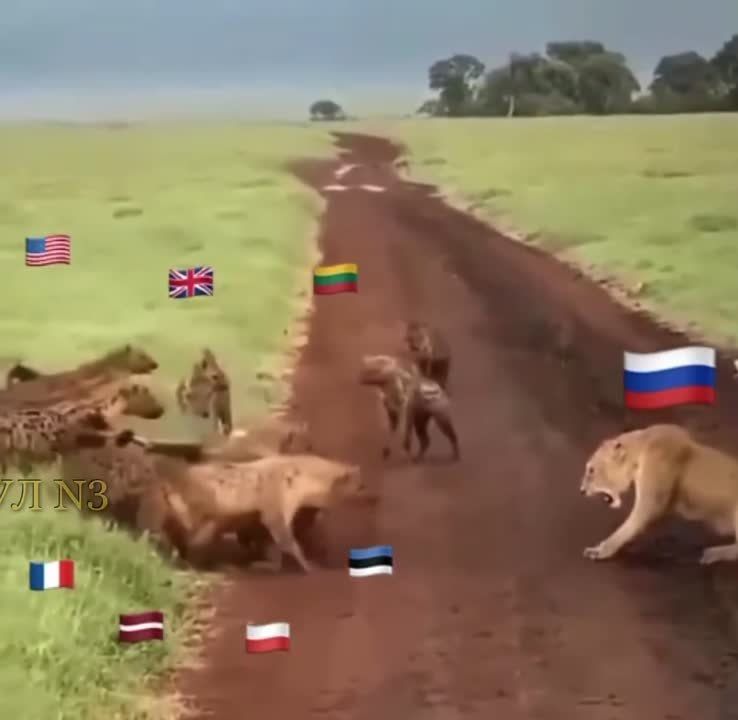 ������� � �������� � ����