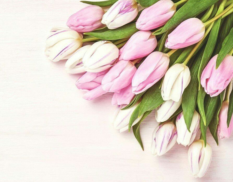 ��������� ����� �������������� ��������� ����������� ���������� � ���������������� ����������: