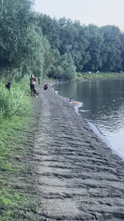 ���� ����. �������. ��������� ��������� ��������� �������� �����. ���������� ������ �������-�� ����