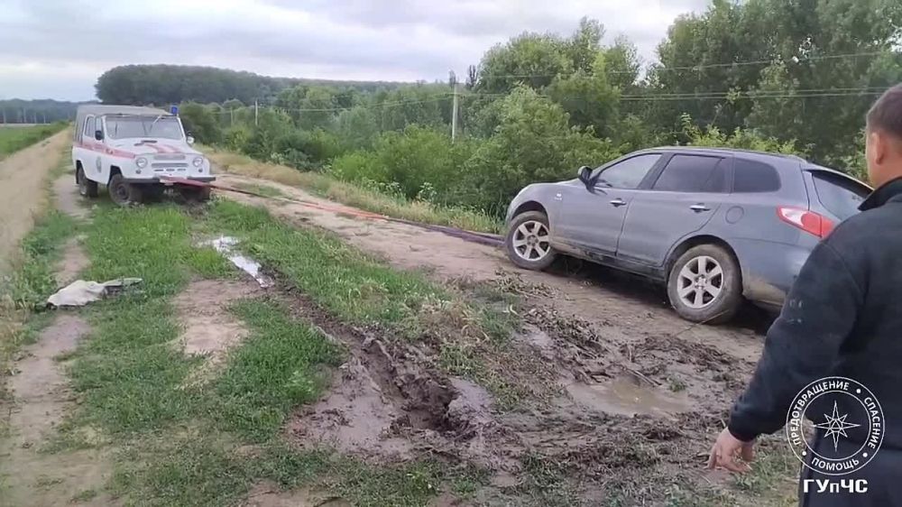 ��� ������ �������� �� �����