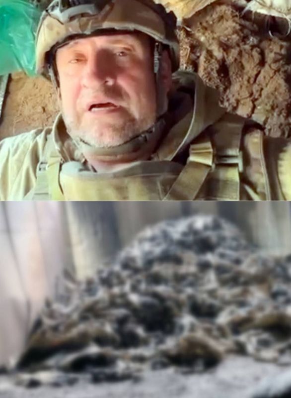 ������� ������� � ���������, �������� ����