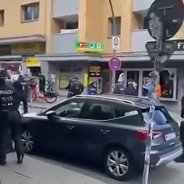 ������� ������� ����� �� ������� � ������� �������� ����� � ���� ������� ����������� ���������� ����������� � �������� ��������, �������� ������� Bild