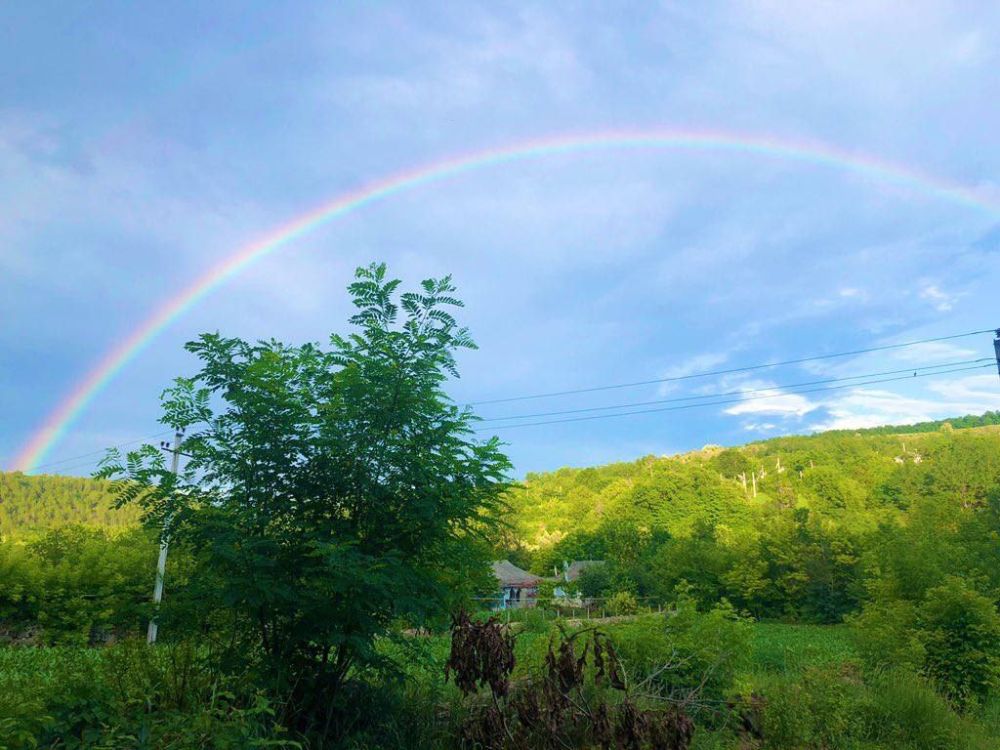 ������ �� �� ��������� ����) ���� ������� ����� ���������� ���������� ��������� ����� �����