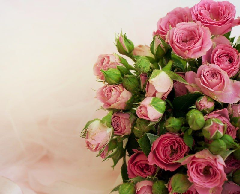 ������ ��������� ����������� ����������