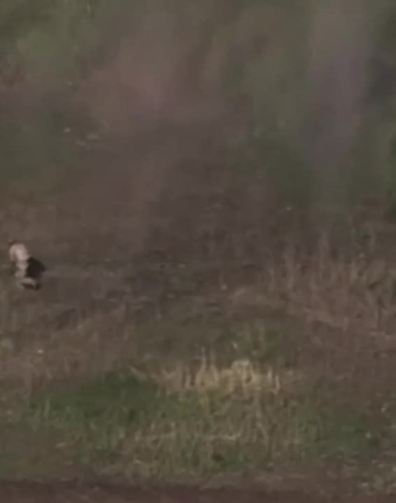 ���� �� �� ������� ������� ��� ���������� fpv-���� ����������