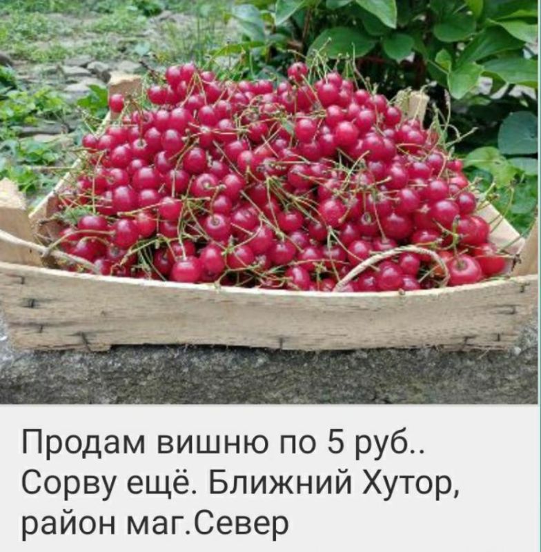 � �������� ����� ������� ����� �� 5 ������