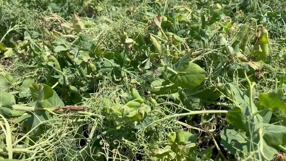 �������� �� ��������� ����� ������� ������� ��� ����������� ������ � ���������