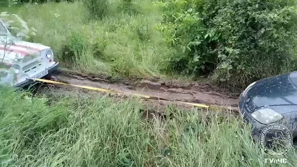 ��� ������ �������� �� �����