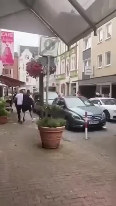 ������ ������� ����������� �������� ������� �� ������ ����� ���� � �� ��� �� �����, ��� ��� ������� ��� ���������� ������ � 20 ������� ������������ � ��������