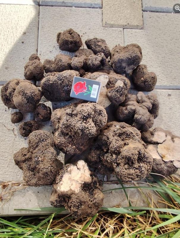 ������� �� ������� ����� ������� � ������ ���� ������