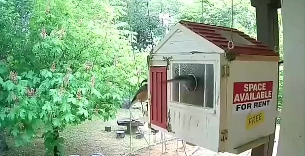 � ��� ������ ���� ������ � ������ ����������, � ��� ����� � ��������� ���