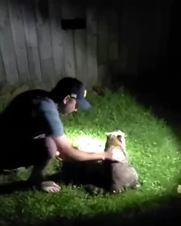 ����� ����� ����� �����, ����� �������� ��������� ���� � �� �������� ��������� �� �����, ��� � ���� ��������