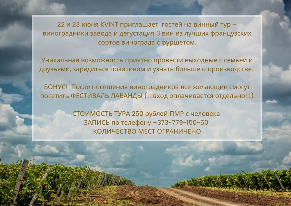 KVINT � ��� �������� ���������� ������ ��� ��� ���� ��������