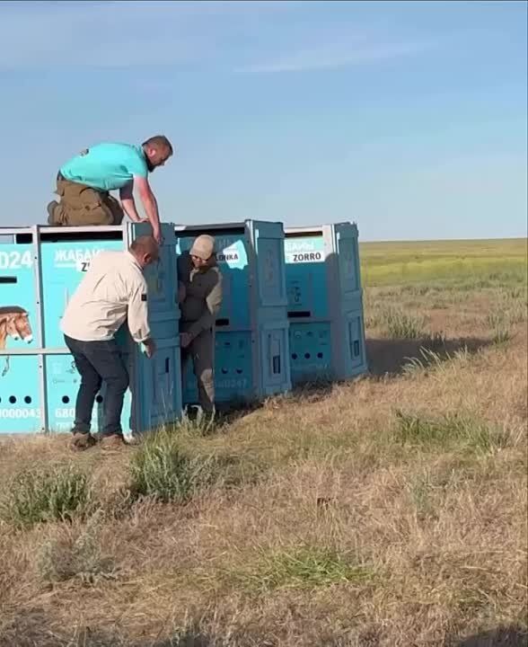 ����������� �������� ������ ������������� ������������ �� ������