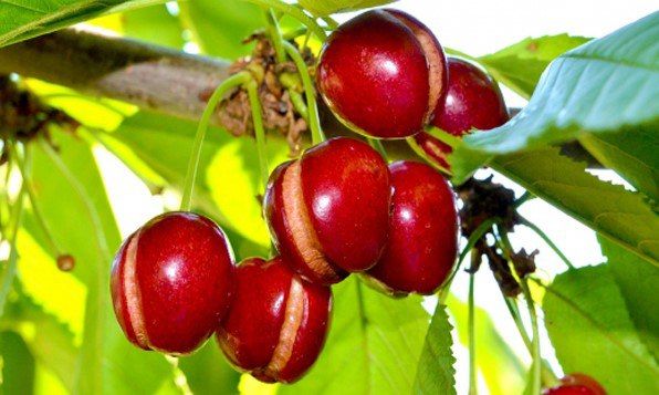 � ������������� ������ ������� ��������� ������ �� ��������, ������ ��� �������� �� ���������