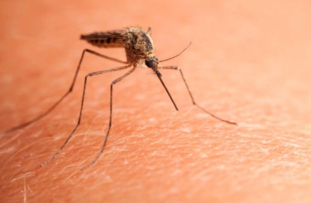 ������ ������� � ������ ������ ������ ����� ���������� ������� � ������������