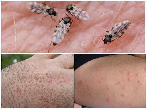 � ������������� ��������� ��������