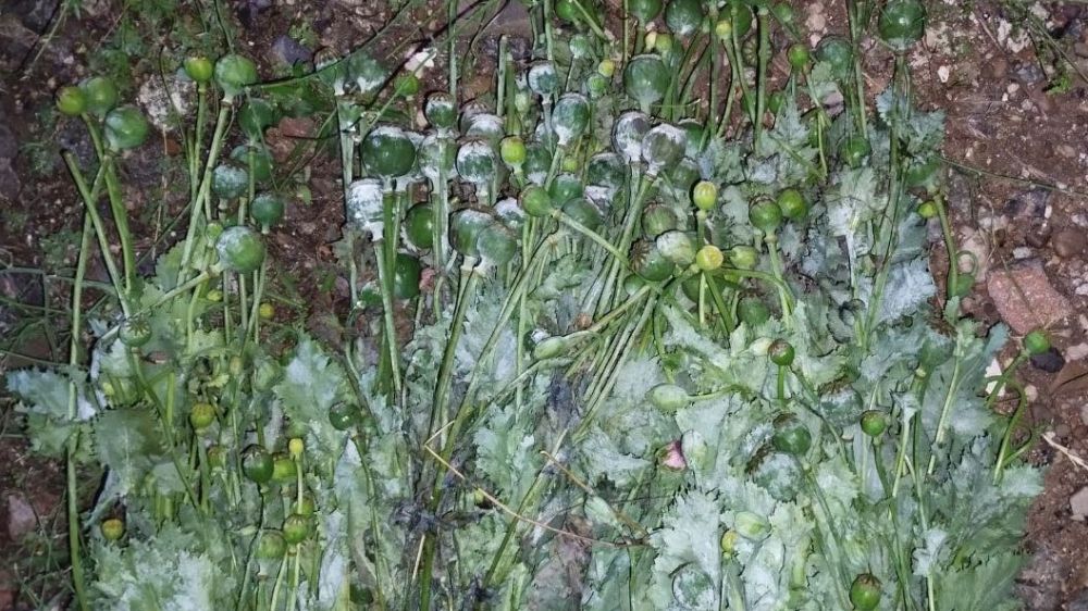 ������������ ��� ������ ��������������� �������� � ����� ������� ������� ������ ������� � �������� ��� ���� ������������ ������� ��������