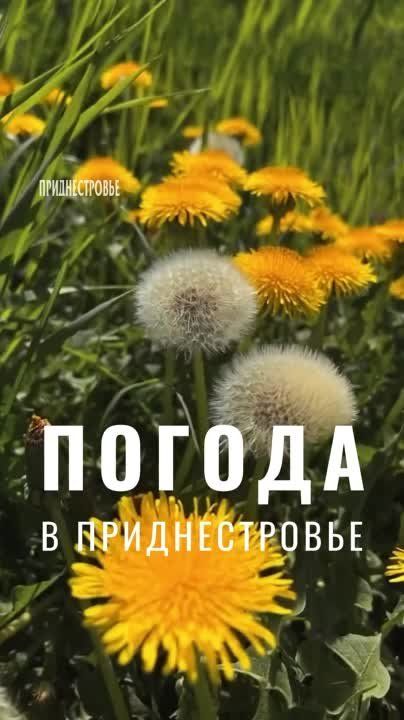 19 ���� ��������� ���������� ����������, ��� �������