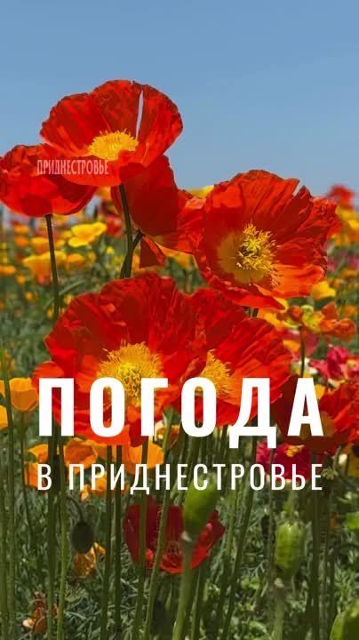 20 ���� ��������� ���������� ����������, �� ������ ��������