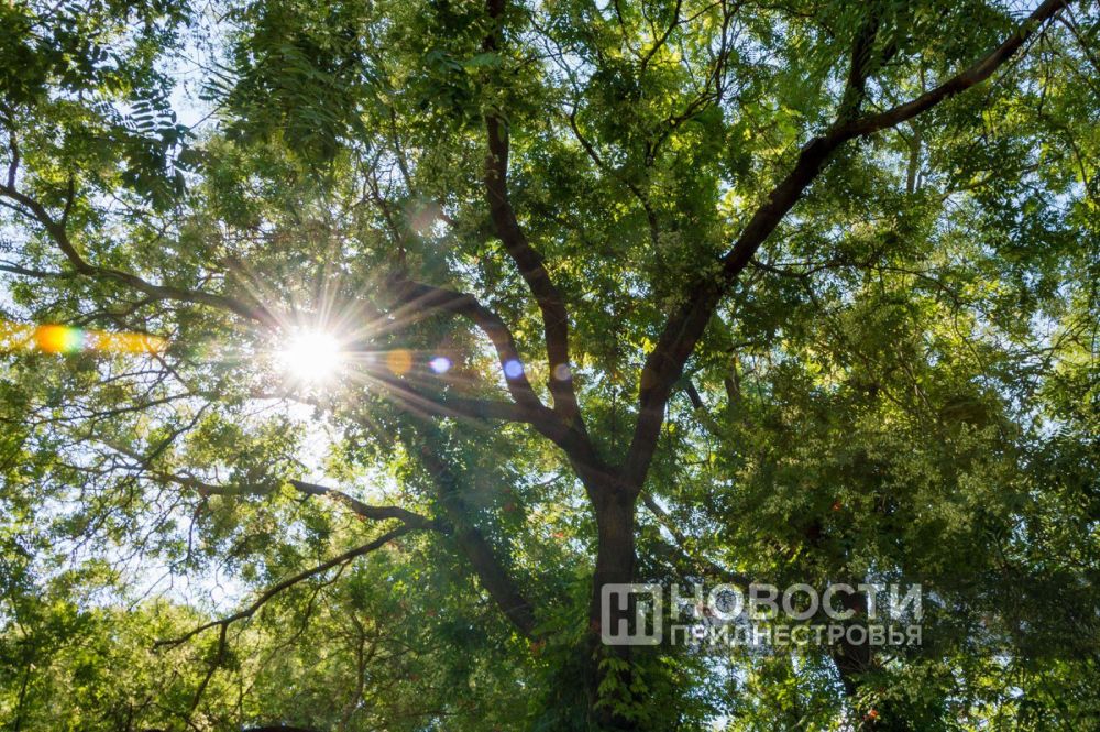 ������� ����� ������� ���� � ����� �������� ���� � ���� ������� �������������