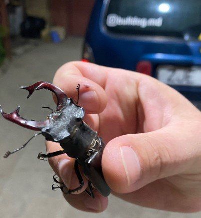 ����� �� ��������� ����� 8-�������������� ����-�����