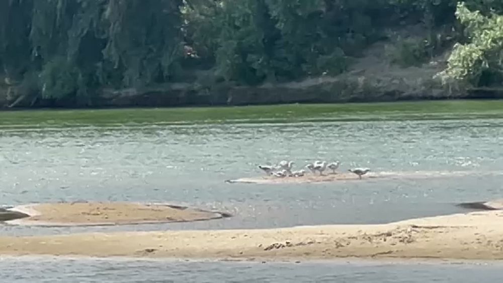 � ������ ��������� � ������ ������������ - ��� ���� �� ��������� �����������