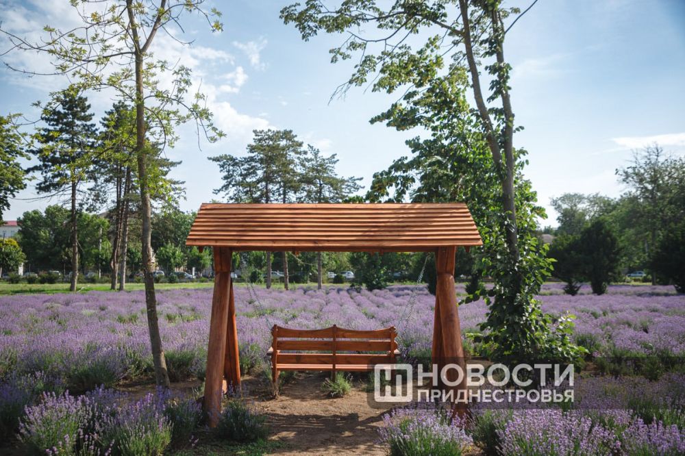 �� ���� ������ ����������� ������� ���� ���� ����������� ����� �� 5-6 ��������