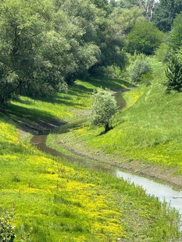 ������������� �������������: ��������������� ������ �� ����