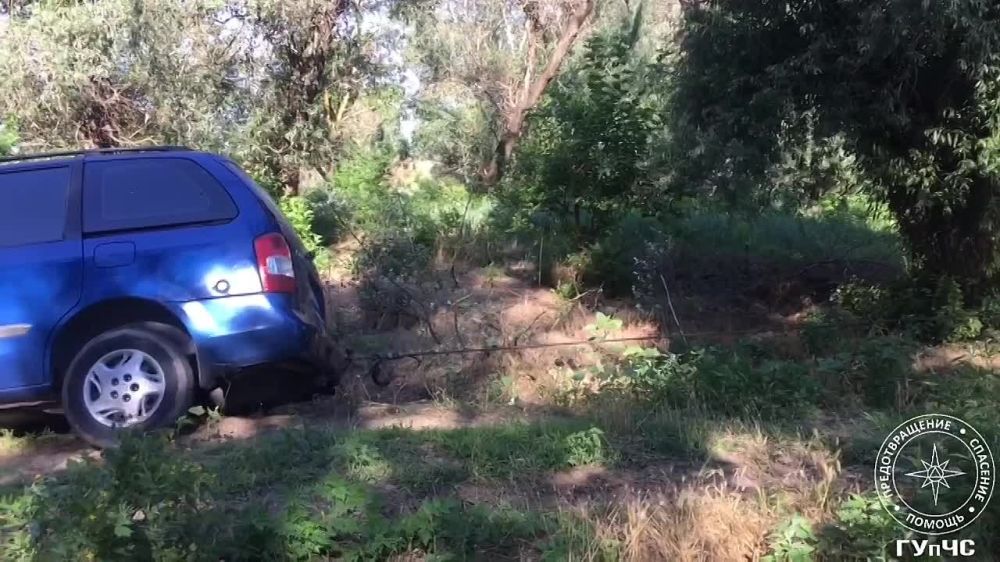 ������ ����� ������ ��� �������� ������