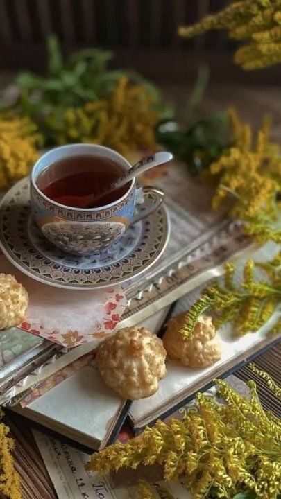 ������ ����