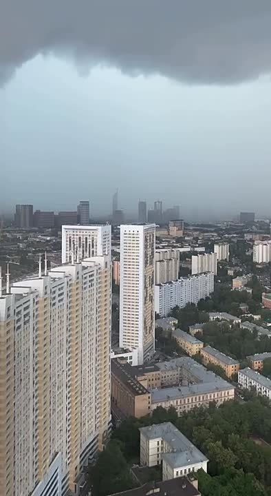 ������ ������ ������