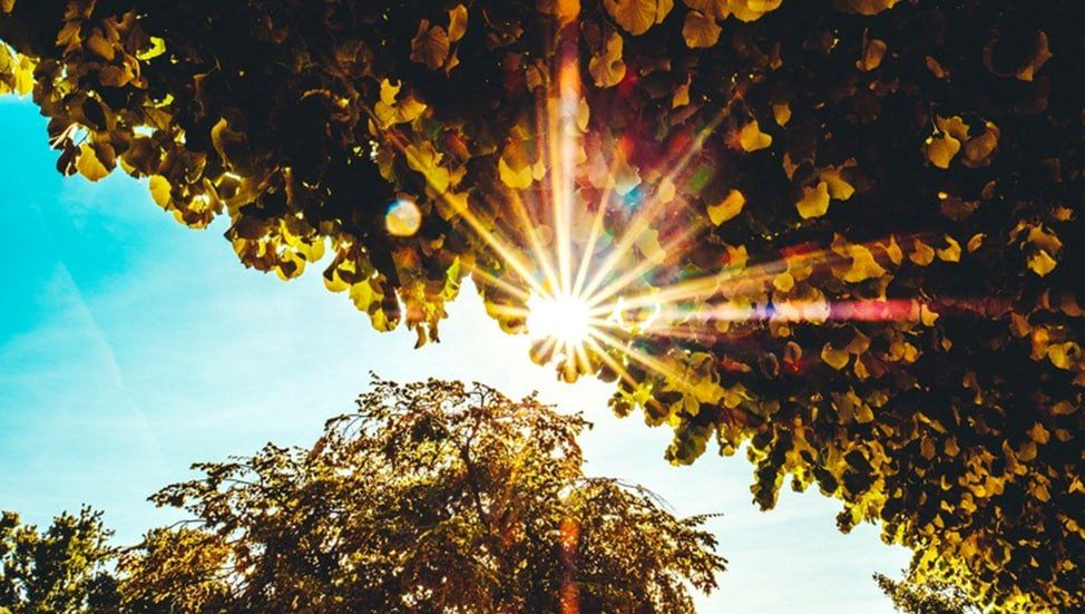 ������� � ���� ������� �������������