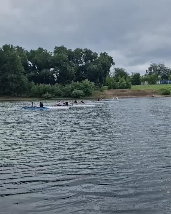 12 �������� ���� ������ ���������� ������ �� ���������� ��� �� ������������� ������ ����� ������� 2008-2009 �.�