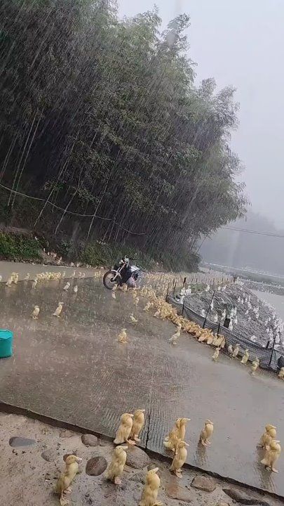 � ����� ����� ������� ������� ������ ������ � �������