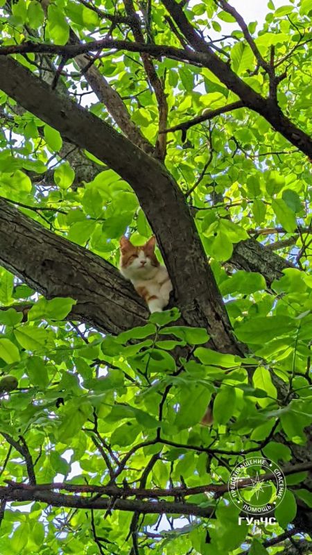 � ���� ��� �� �����. �� �����. ������ ��� �� ���