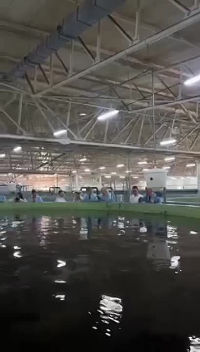 � ������������� ������� �������� ������������, �������������� ����������� �� �������