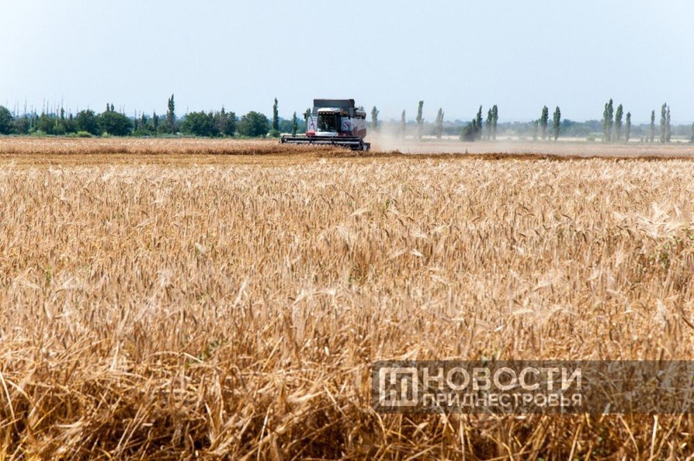 ����� ��������. �� ���� ������ ��������������� ������� ���������� � ������ �������� �������. ��� ������ 650 �� � ��������...