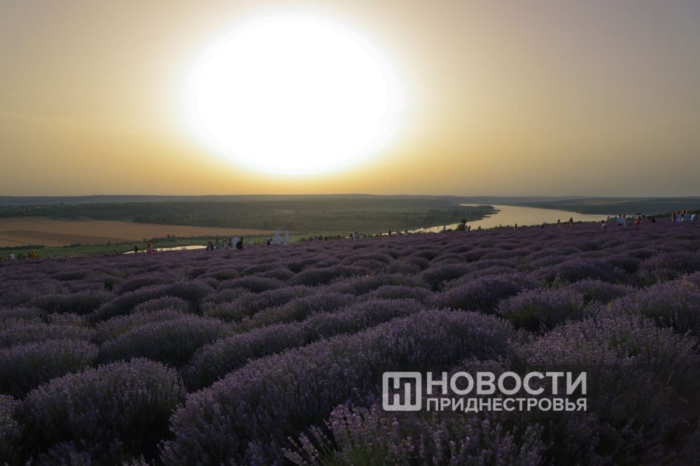 ���������� ��������� � ������