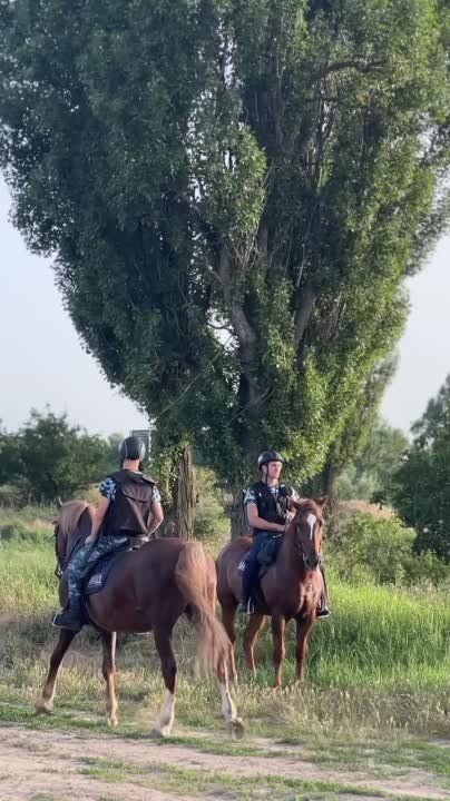 ����������� ������� ����������� ����� �������