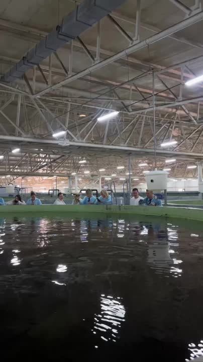 ���� � ������������� ����������� ������� �������� � �������������