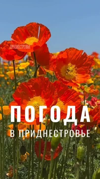 22 ���� ��������� ���������� ����������, ��� �������